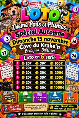 Image MEGA LOTO (photo 1)