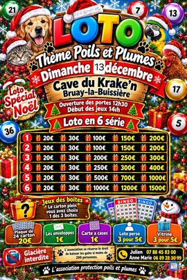 Image Mega loto (photo 1)