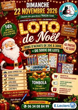 Image LOTO DE NOEL (photo 1)