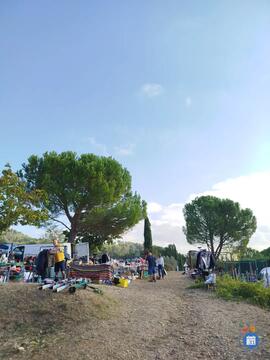 Image Vide-grenier au camping air du temps (photo 1)