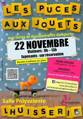 Image Puces aux jouets (photo 1)