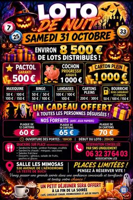 Image LOTO DE NUIT environ 8500€ de lots (photo 1)