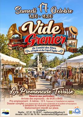 Image VIDE GRENIER (photo 1)