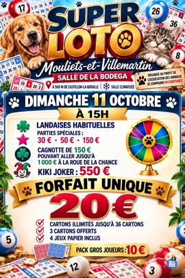 Image Loto forfait unique 20€ (photo 1)