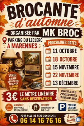 Image Vide grenier brocante (photo 1)