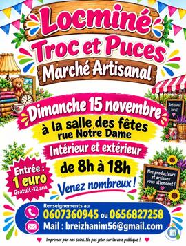 Image troc et puces (photo 1)