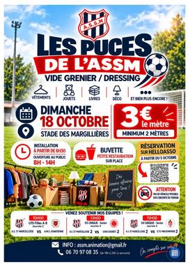 Image Les puces de l'assm (photo 1)
