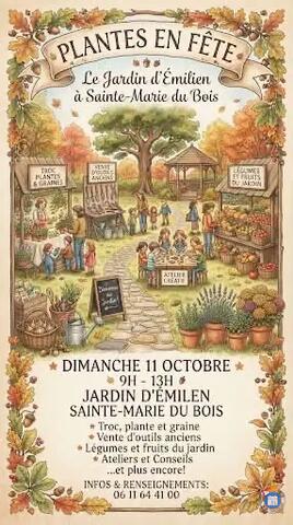 Image Plantes en fetes (photo 1)