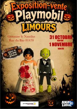 Image exposition vente de playmobil (photo 1)