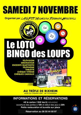Image LOTO Des LOUPS (photo 1)
