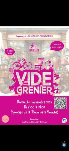 Image vide grenier des gazelles mornantaises (photo 1)
