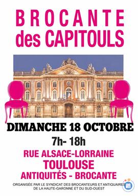 Image SUPERBE BROCANTE Rue Alsace Lorraine plein cœur de TOULOUSE (photo 1)
