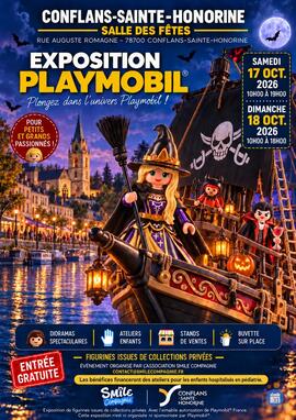 Image exposition jeux playmobil (photo 1)