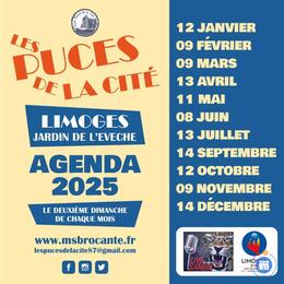 Image Les puces de la cité (photo 1)