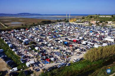 Image Les Bonnes Puces (photo 1)