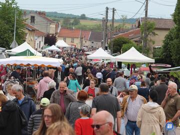 Image 30 ème brocante (photo 1)