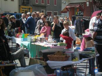 Image Vide grenier. Marché aux fleurs et plants (photo 1)