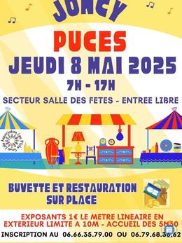 Image Traditionnelle Foire aux Puces (photo 1)