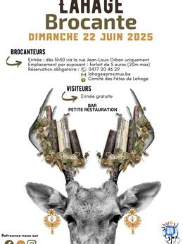 Image Brocante de Lahage (commune de Tintigny) (photo 1)