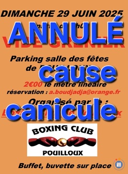 Image Vide grenier Boxing club de Pouilloux (photo 1)