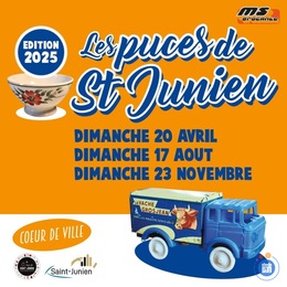 Image Les puces de Saint Junien (photo 1)