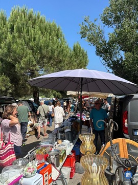 Image Puces, Brocante, et vide grenier (photo 1)