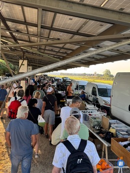 Image Vide-Grenier : Hippodrome Salon : MAINTENU (photo 1)