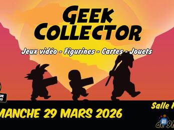 Image Geek Collector - Vesoul (photo 1)