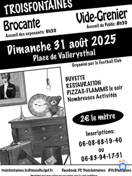 Image Brocante vide-grenier de Troisfontaines (photo 1)