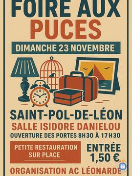 Image 4 eme foire aux puces de l'ac leonarde (photo 1)