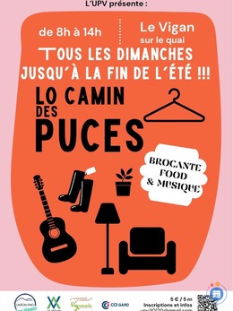 Image Vide grenier centre ville le vigan (photo 1)