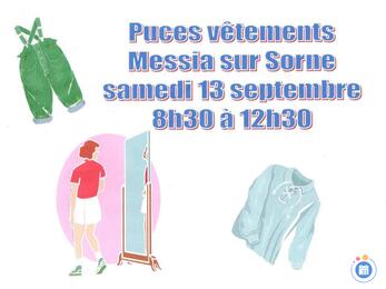 Image Puces aux vêtements (photo 1)