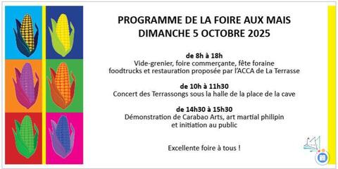 Image Vide Grenier et Foire aux Mais (photo 1)