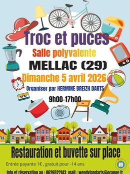 Image troc et puces (photo 1)