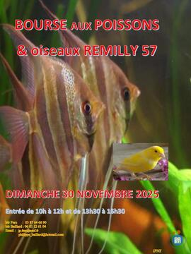 Image REMILLY BOURSE AUX POISSONS et Oiseaux 30 novembre 2025 (photo 1)