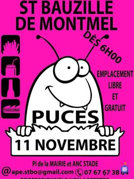 Image Puces d'Automne de l'APE (photo 1)