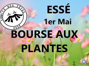Image Bourse aux Plantes organisée par le Comité des Fêtes d'ESSE (photo 1)