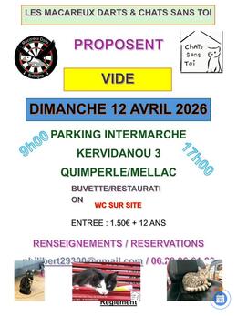 Image vide-grenier (photo 1)