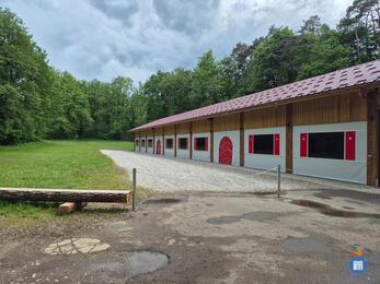 Image Vide grenier des planches (photo 1)