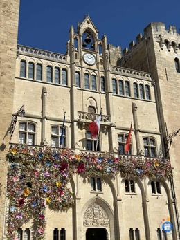 Image Brocante De Narbonne En Ville (photo 1)
