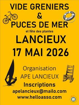 Image Vide greniers et puces de mer (photo 1)