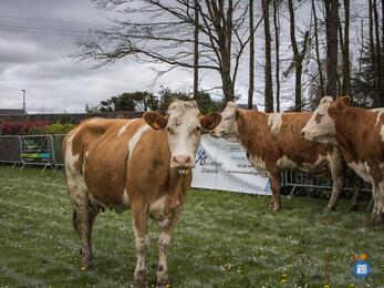 Image LotoBouse et VideGrenier (photo 1)