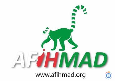 Image Bric à brac de printemps (photo 1)