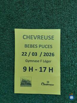 Image Bébé puces (photo 1)