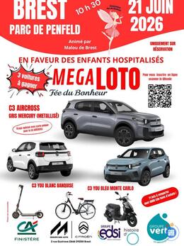 Image MEGA LOTO fée du Bonheur (photo 1)