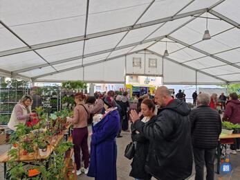 Image Marché aux Plantes (photo 1)