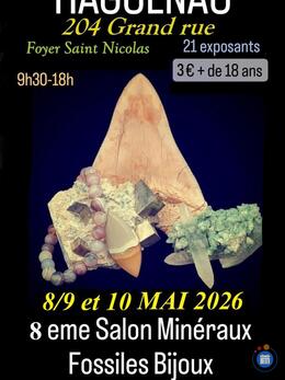 Image 8eme Salon minéraux fossiles et bijoux (photo 1)