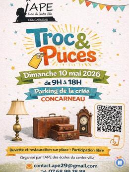 Image Troc et Puces (photo 1)