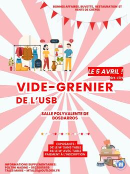 Image Vide grenier de l'USB (photo 1)