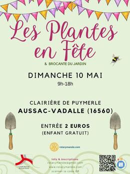 Image Les Plantes en Fête et Brocante du Jardin (photo 1)